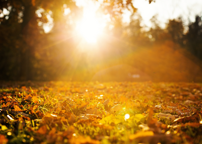 Top Fall Getaways for 2025: Where to See the Best Autumn Colors